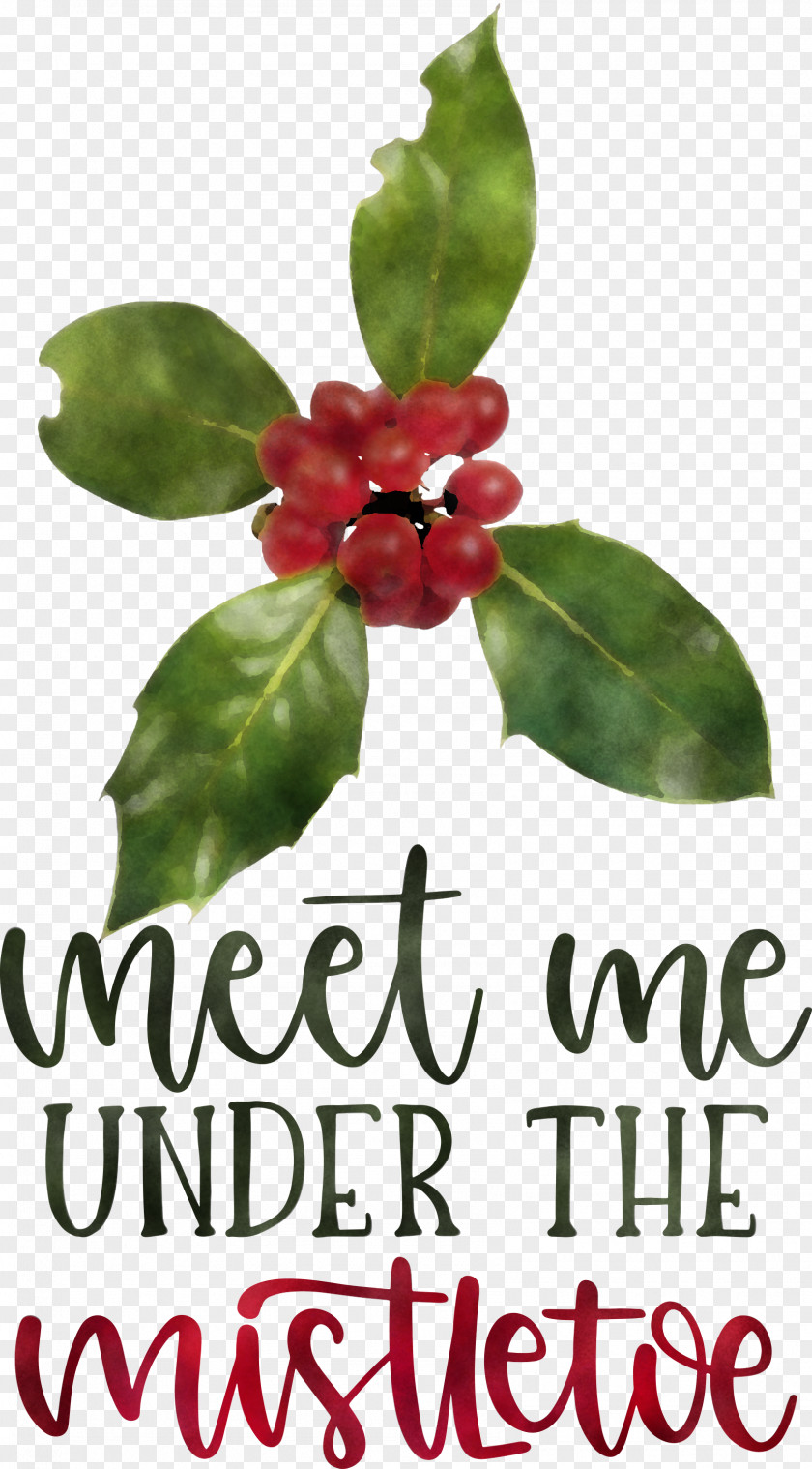 Meet Me Under The Mistletoe PNG
