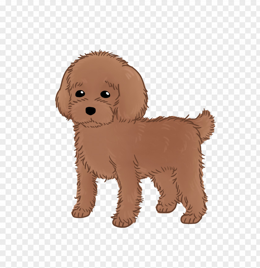 Puppy Goldendoodle Cockapoo Cavapoo Dog Breed Schnoodle PNG