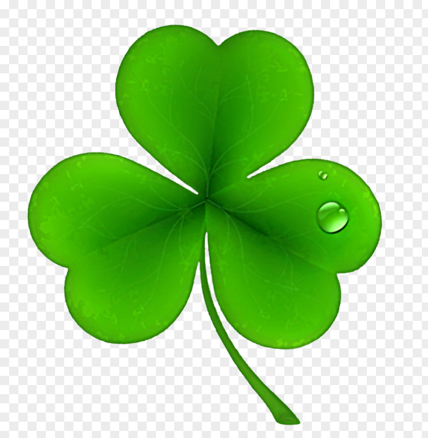 St Patricks Day Shamrock Clover PNG Clipart Ireland Saint Patrick's National ShamrockFest Public Holiday PNG