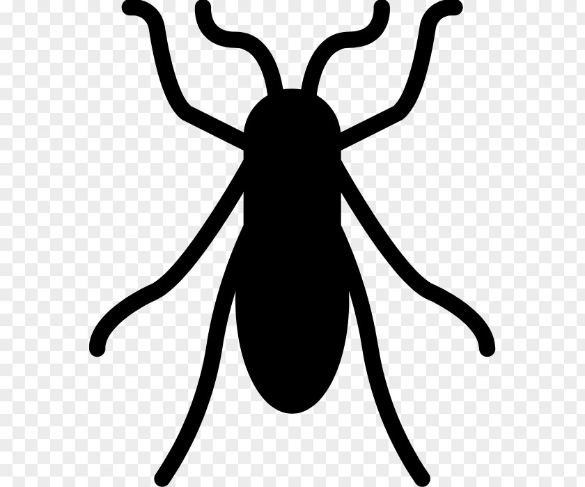 Insect Bed Bug Mosquito Clip Art PNG