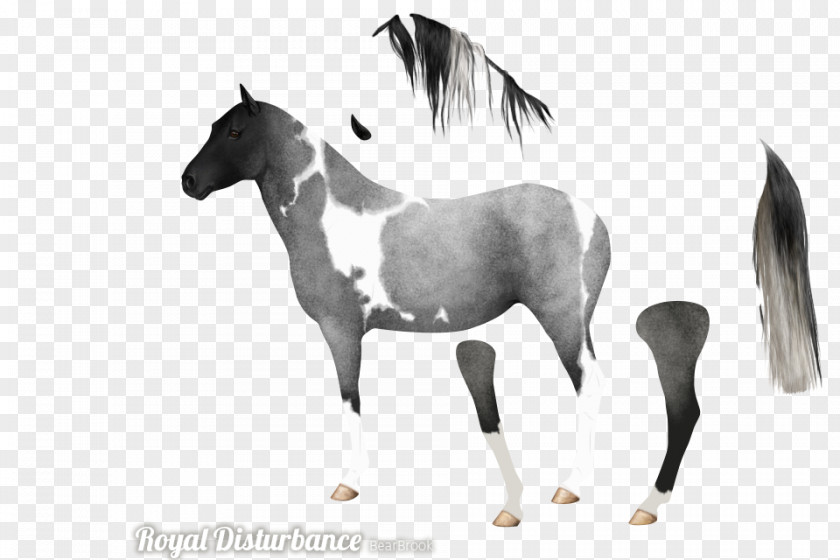 Mustang Mane Stallion Foal Mare PNG