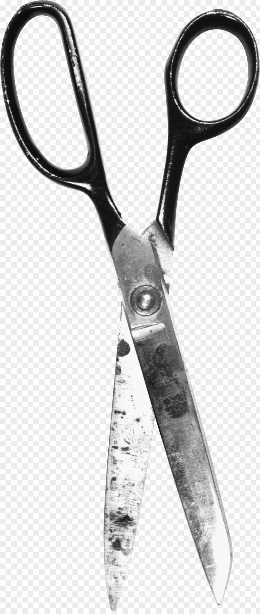 Scissor Scissors Photography Hair-cutting Shears Clip Art PNG