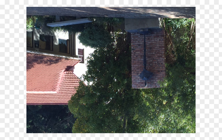 Window House Roof Tree Property PNG