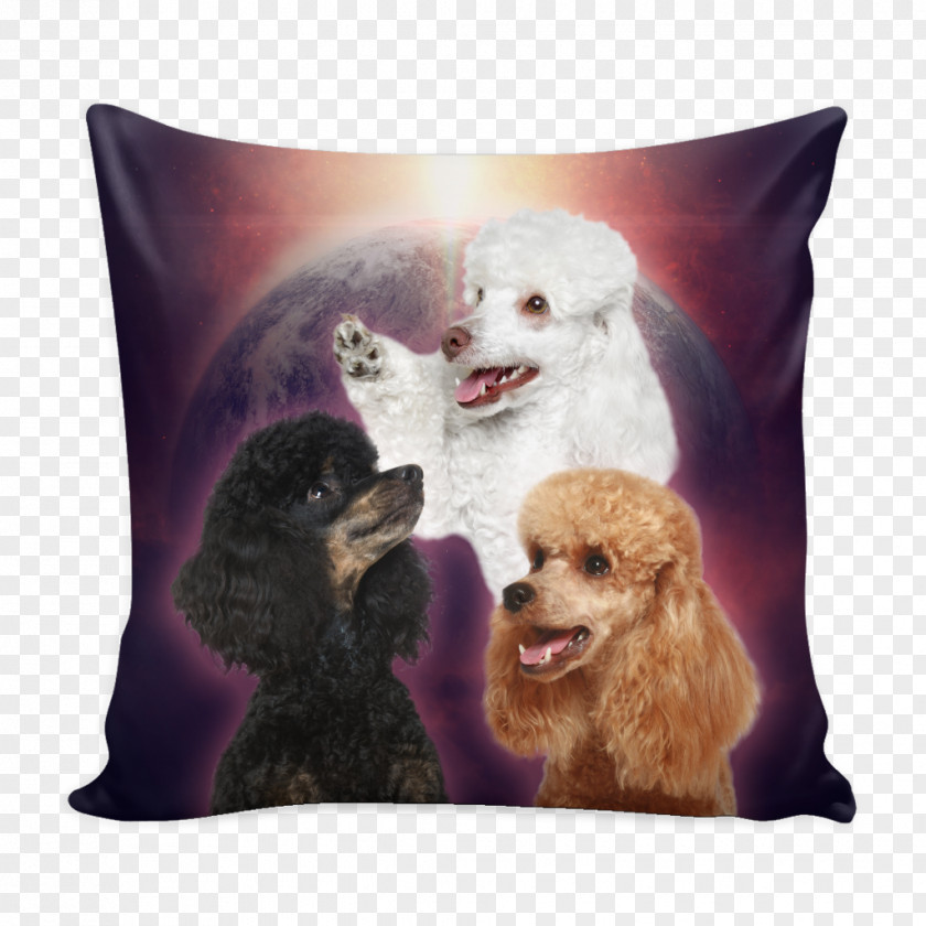 Poodle Dog Breed Throw Pillows Pet Snout PNG