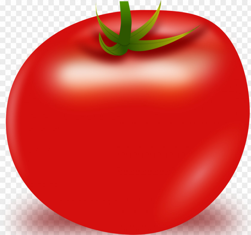 Tomato Vector Cherry San Marzano Clip Art PNG