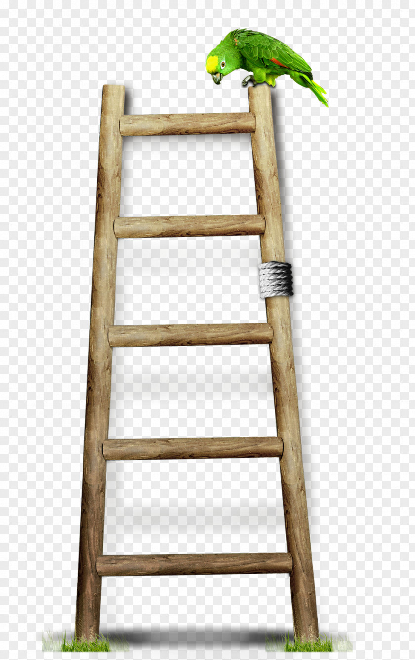 Wooden Ladders Wood Ladder Stairs PNG