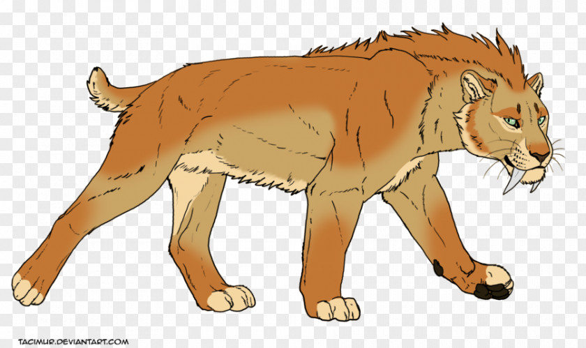 Lion Felidae Tiger Saber-toothed Cat PNG