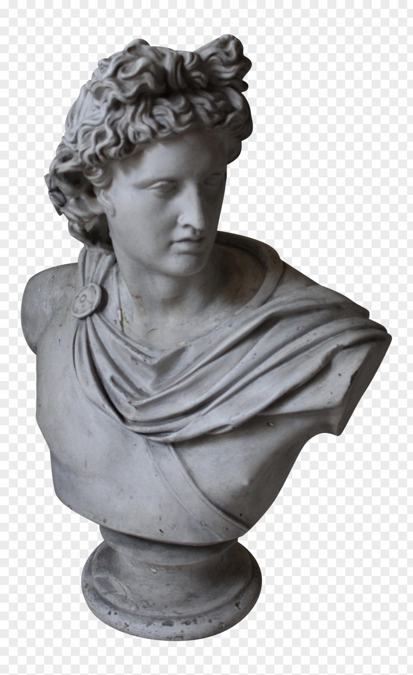 Roman Statue Head Apollo Belvedere Bust Marble Sculpture Vatican Museums PNG
