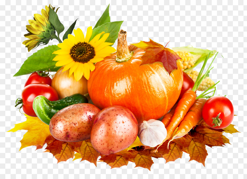 Vegetable Crop Yield Harvest Pumpkin Clip Art PNG