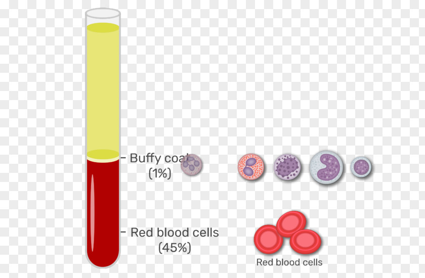 Blood Buffy Coat Red Cell Plasma White PNG