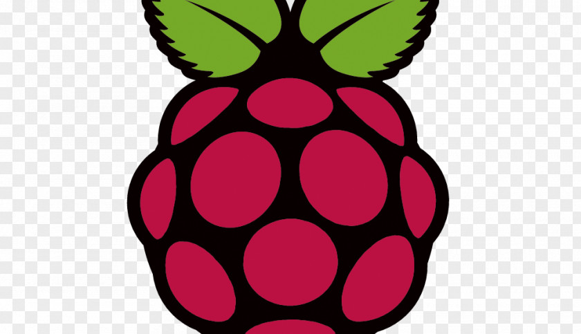 Computer Raspberry Pi Foundation Installation Raspbian PNG