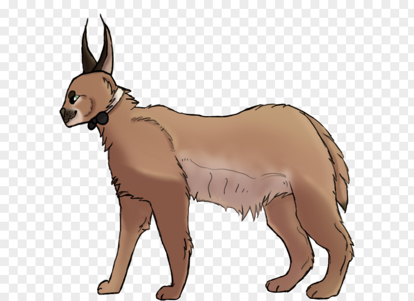 Dog Breed Red Fox Snout Clip Art PNG