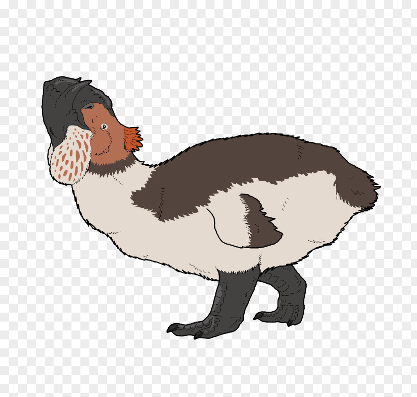 Duck Goose Flightless Bird Anseriformes PNG