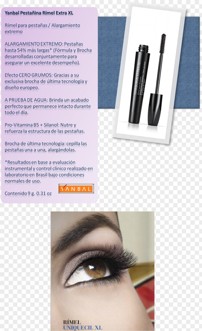 Rimel Eyelash Extensions Eye Shadow Liner Mascara Lip PNG