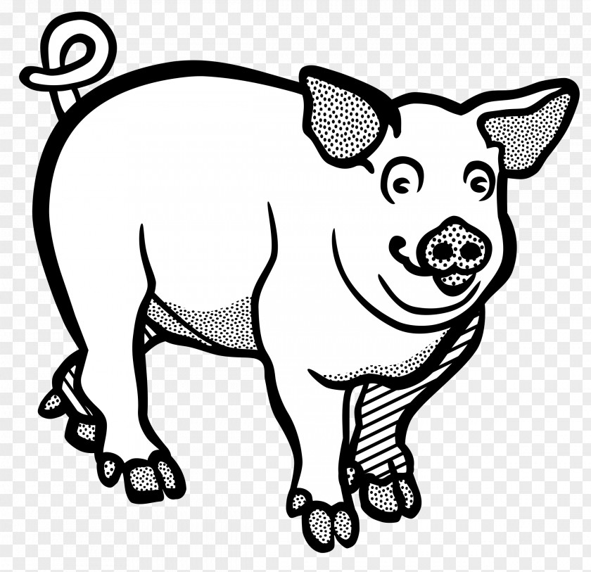 Wild Boar Line Art Clip PNG