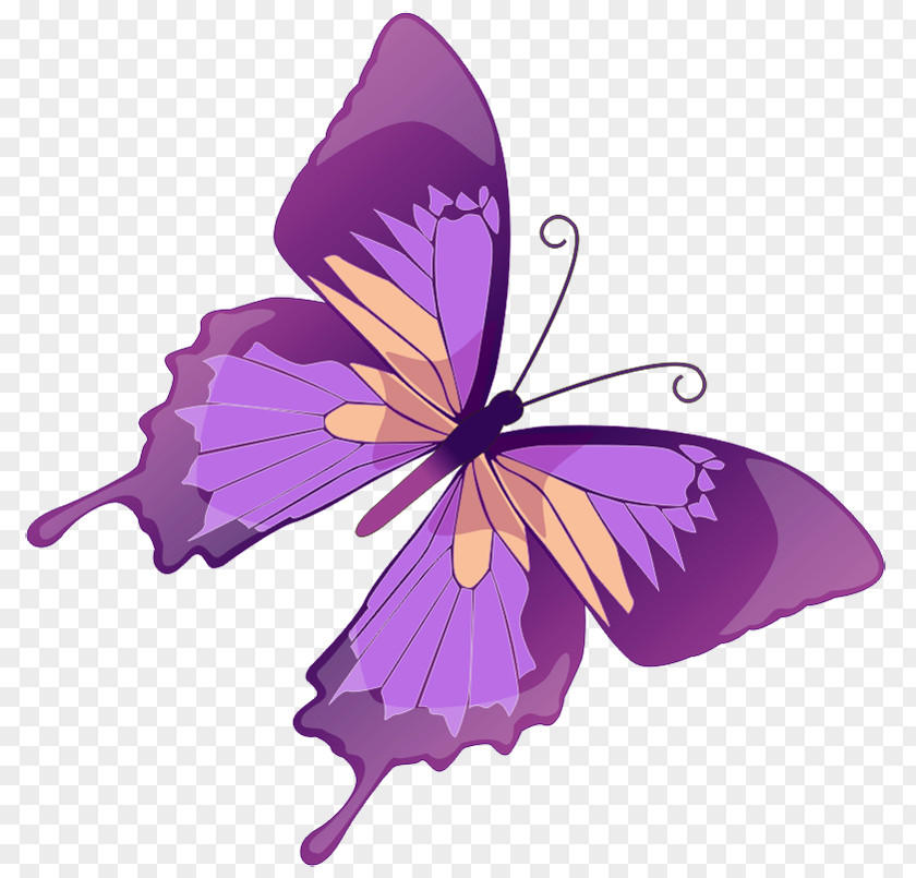 Free Butterfly Clipart Purple Content Color Clip Art PNG