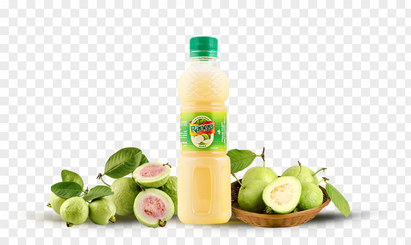 Guava Juice Fizzy Drinks Food Common PNG