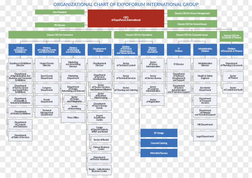 Marriott International Organizational Chart Expoforum Structure Business PNG