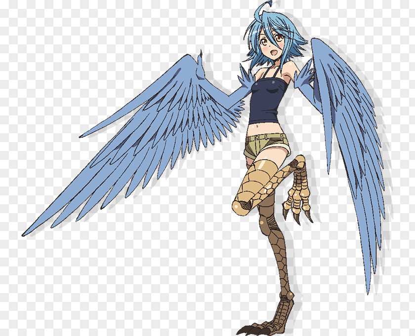 Monster Musume Harpy Drawing PNG