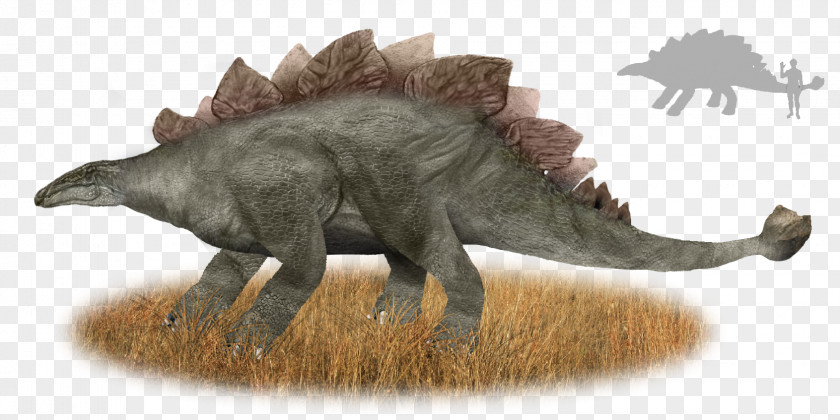 Muhuru Stegosaurus Cryptozoology Emela-ntouka Nguma-monene PNG
