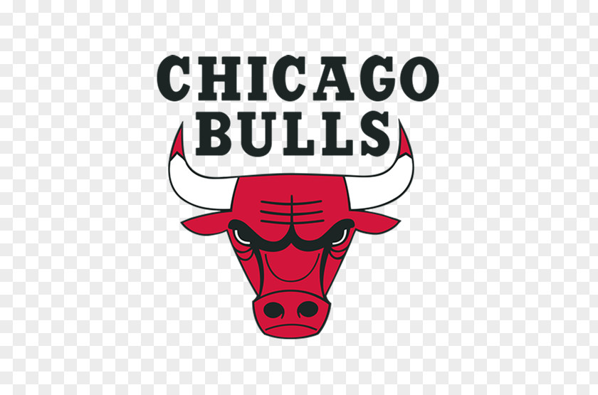 Nba United Center Chicago Bulls Tickets NBA Development League PNG