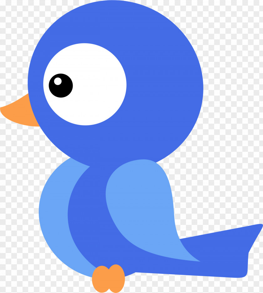 Snow White Bird Drawing Clip Art PNG