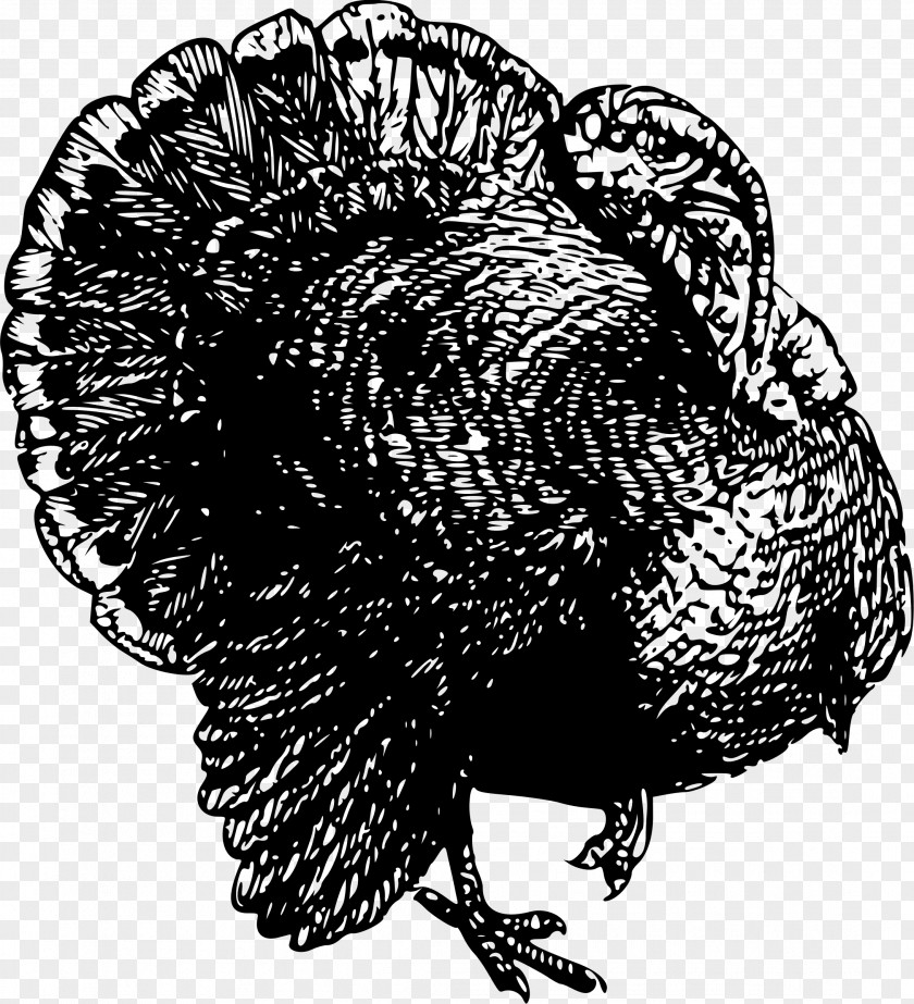 Turkey Black Clip Art PNG