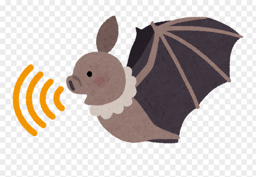 Bat Super Nintendo Entertainment System Animal Echolocation Acoustic Wave Ultrasound PNG