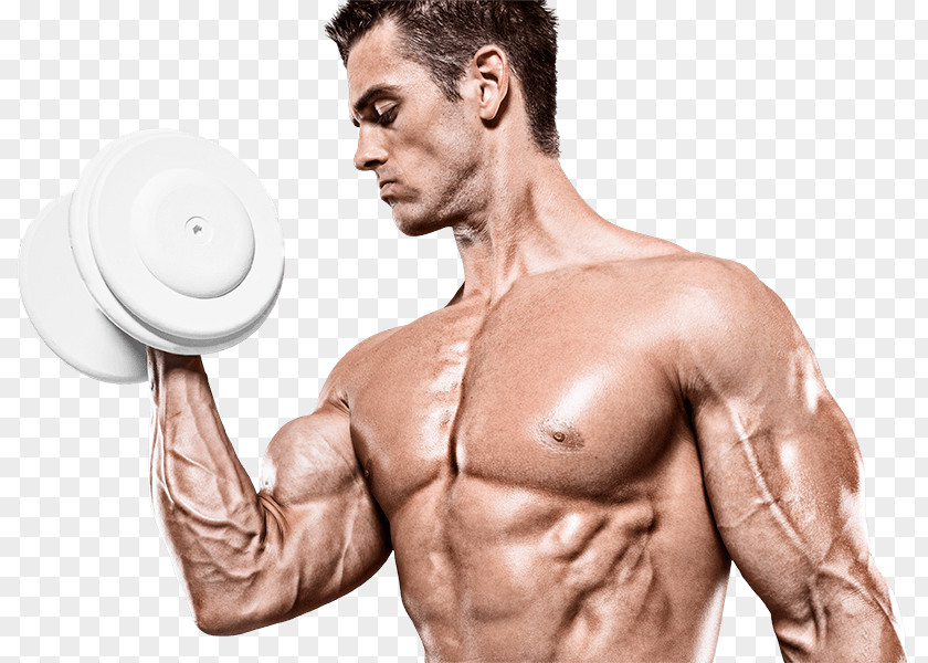 Bodybuilding Creatine Dietary Supplement Muscle Pre-workout PNG