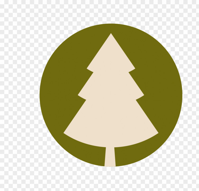 Christmas Tree Photography Euclidean Vector Royalty-free PNG