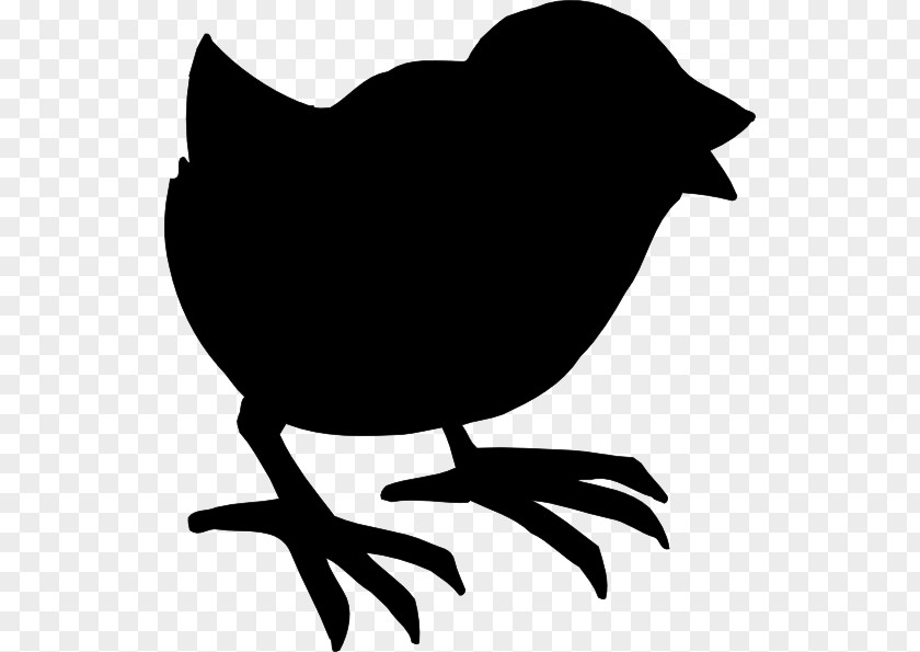 Clip Art Silhouette Beak Chicken As Food PNG