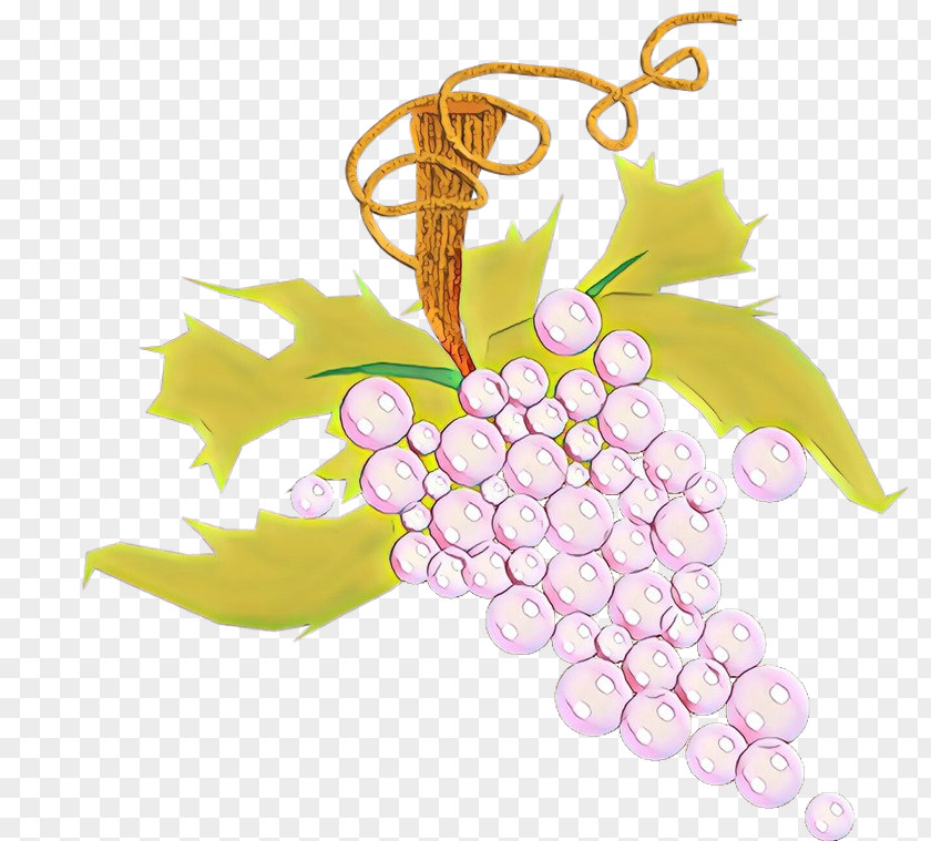 Grape Grapevine Family Leaf Vitis Plant PNG