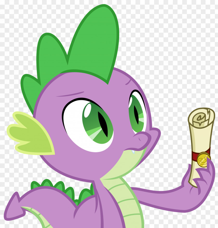 My Little Pony Spike Rarity Derpy Hooves Pinkie Pie PNG