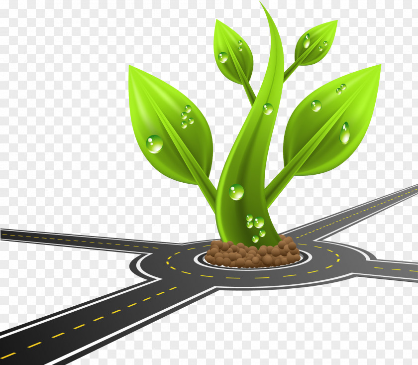 The Plants In Highway Photography Drawing Illustration PNG
