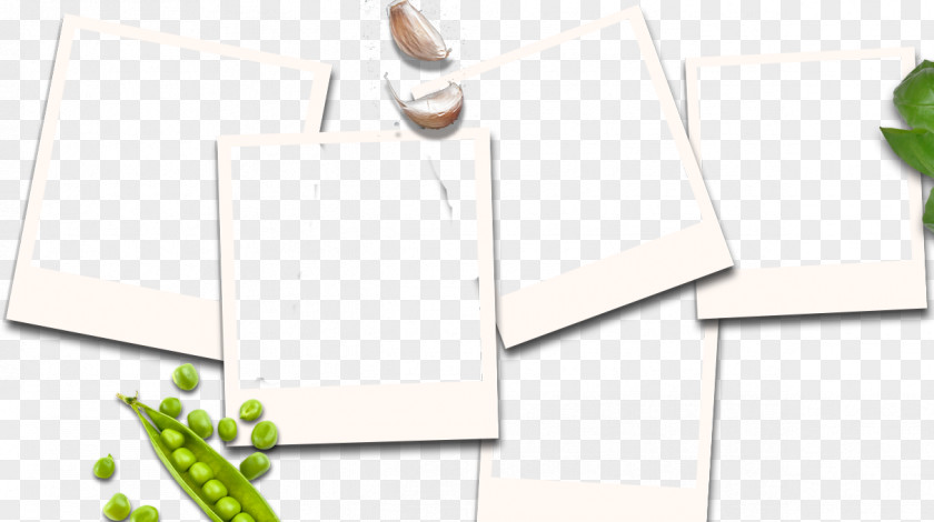 Design Paper Brand Line PNG