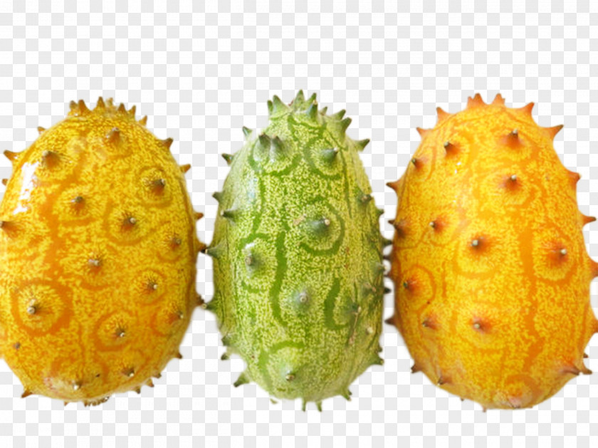 Three Horned Melon Cucumber Muskmelon Auglis PNG