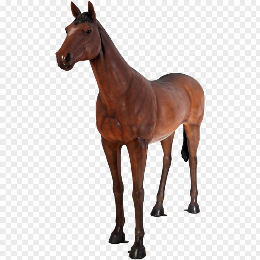 Fondo De La Pancarta Equestrian Statue American Quarter Horse Animal Sculpture PNG