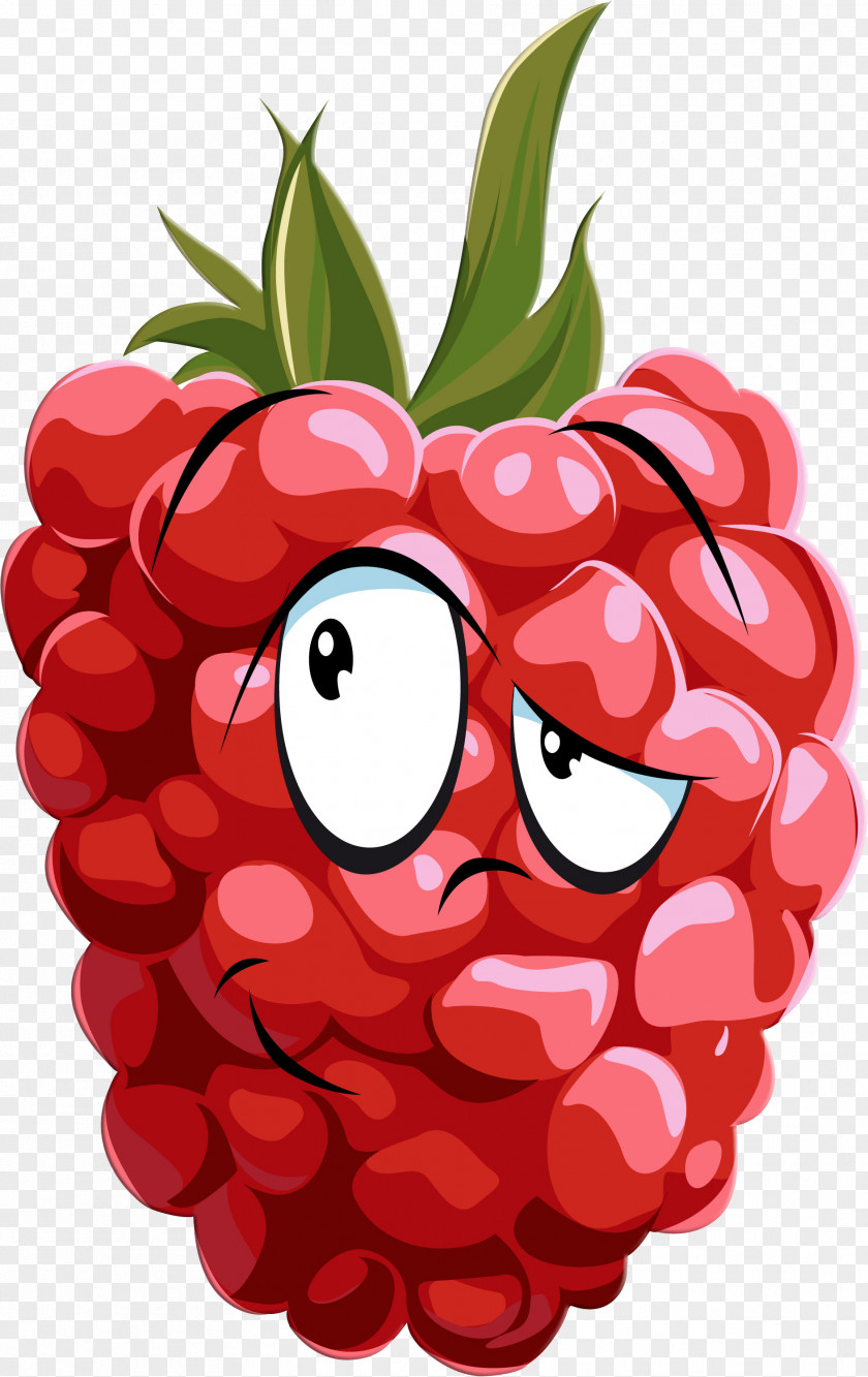 Raspberries Raspberry Drawing PNG