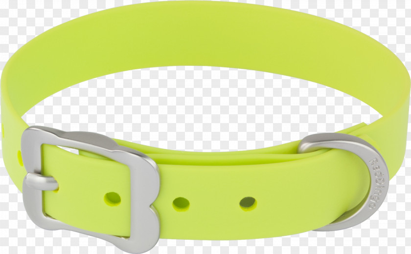 Dog Collars Collar Dingo Cat PNG