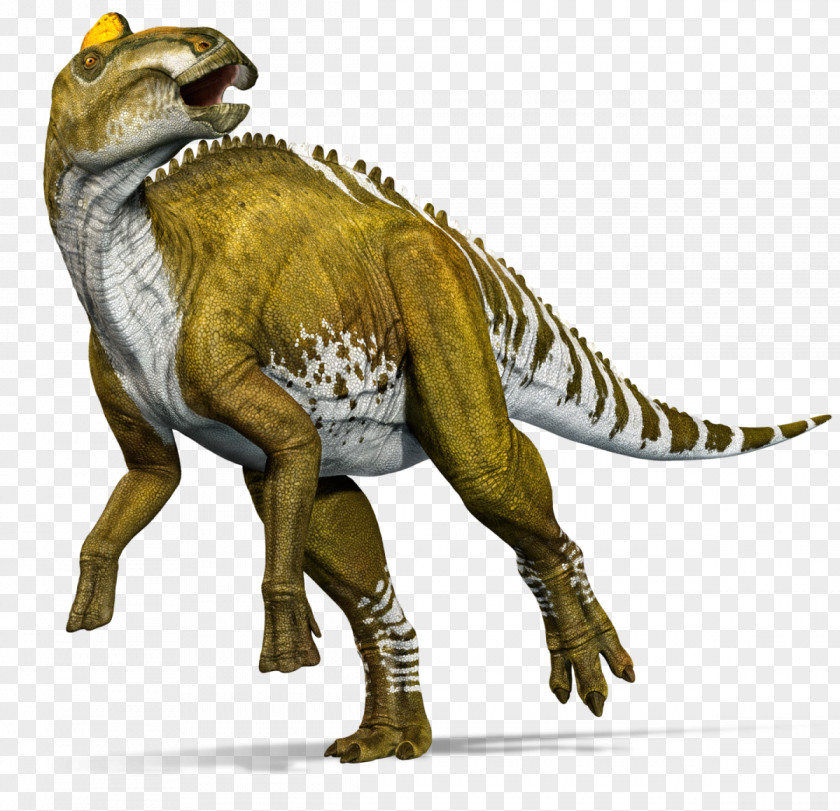 Jurassic World Edmontosaurus Annectens Tyrannosaurus Lance Formation Gorgosaurus Late Cretaceous PNG