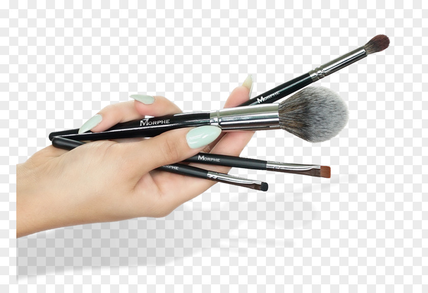 Makeup Brush Cosmetics Eye Shadow Subscription Box PNG