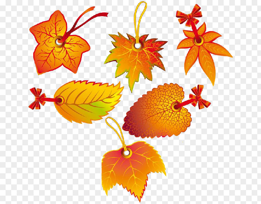 Maple Leaf Material Autumn Color Clip Art PNG