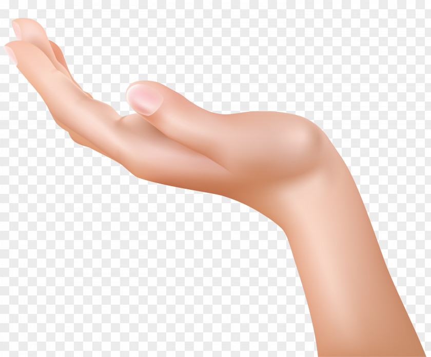 Nail Elbow Skin Hand Finger Arm Joint PNG