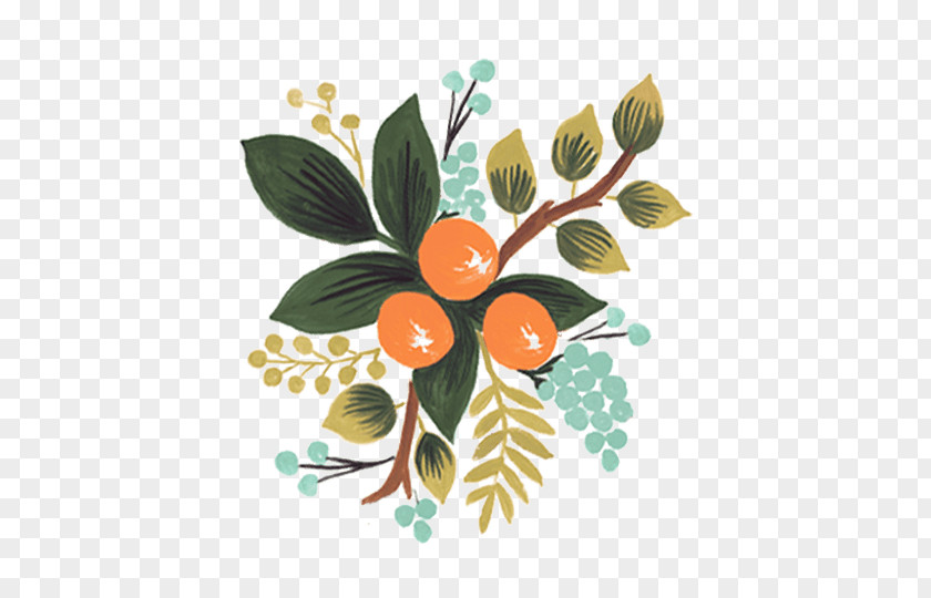 Rifle Paper Co Flower Stationery Greeting & Note Cards PNG Cards, botanical flowers, green leaves orange fruit plant illustration clipart PNG