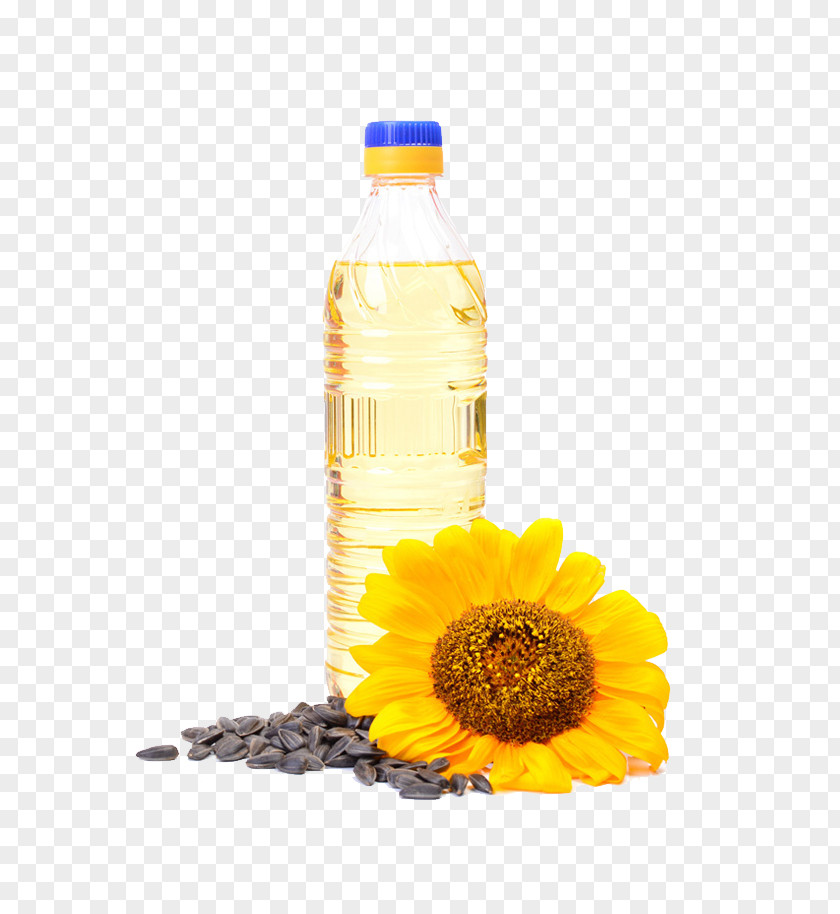 Sunflower Oil Vegetable Common PNG