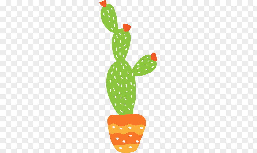 Cactus Cactaceae Drawing Prickly Pear Illustration PNG