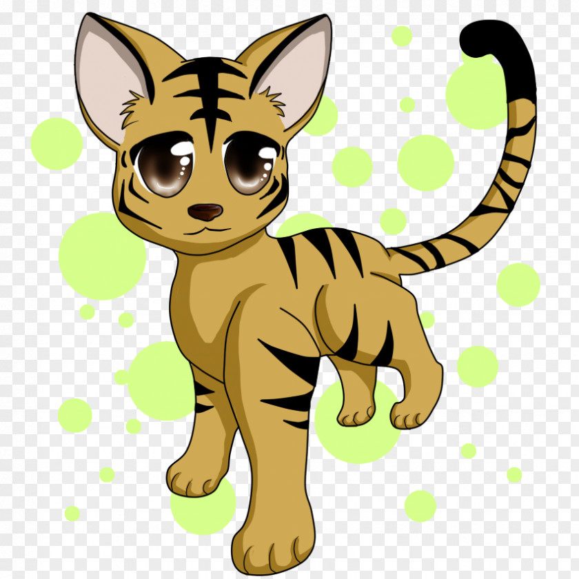 Dragon And Tiger Whiskers Kitten Lion Cat Mammal PNG
