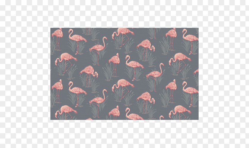 Flamingo Paper Greater Grey Wallpaper PNG