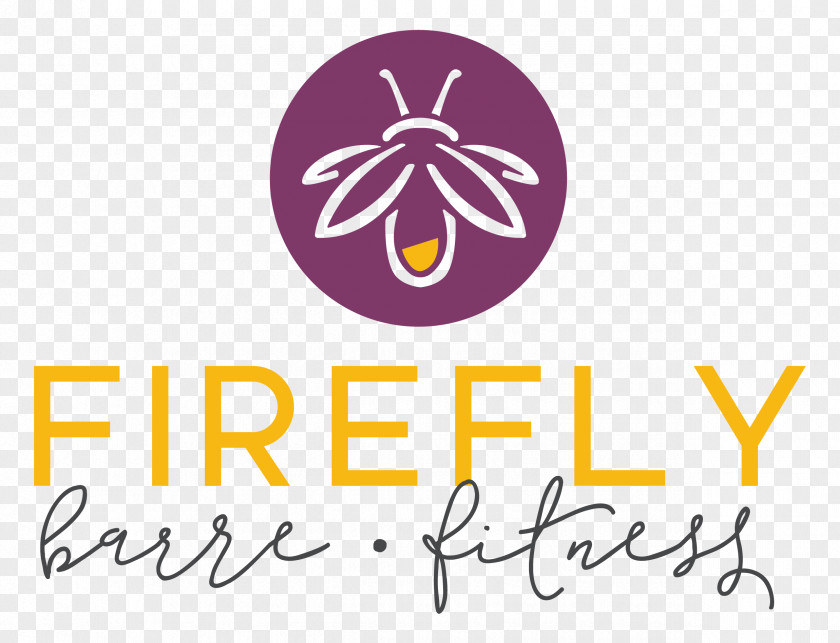 Colorful Fireflies Amazon.com Firefly Barre Fitness Berkeley Price PNG