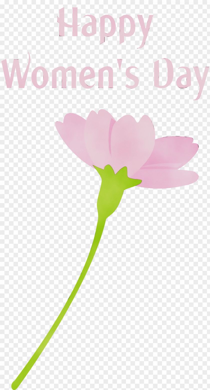 Flower Pink Plant Petal Pedicel PNG
